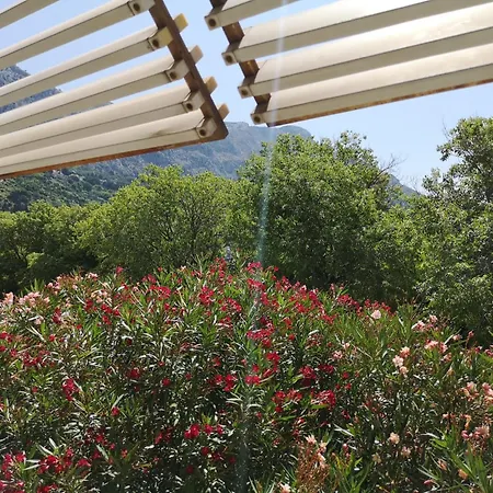 Teta Neda Διαμέρισμα